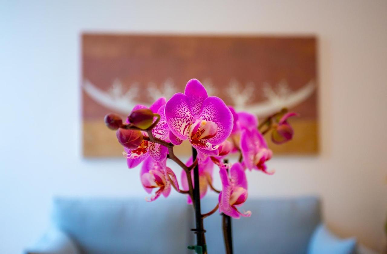 Cosmo 38 Luxury Apartments ナポリ エクステリア 写真